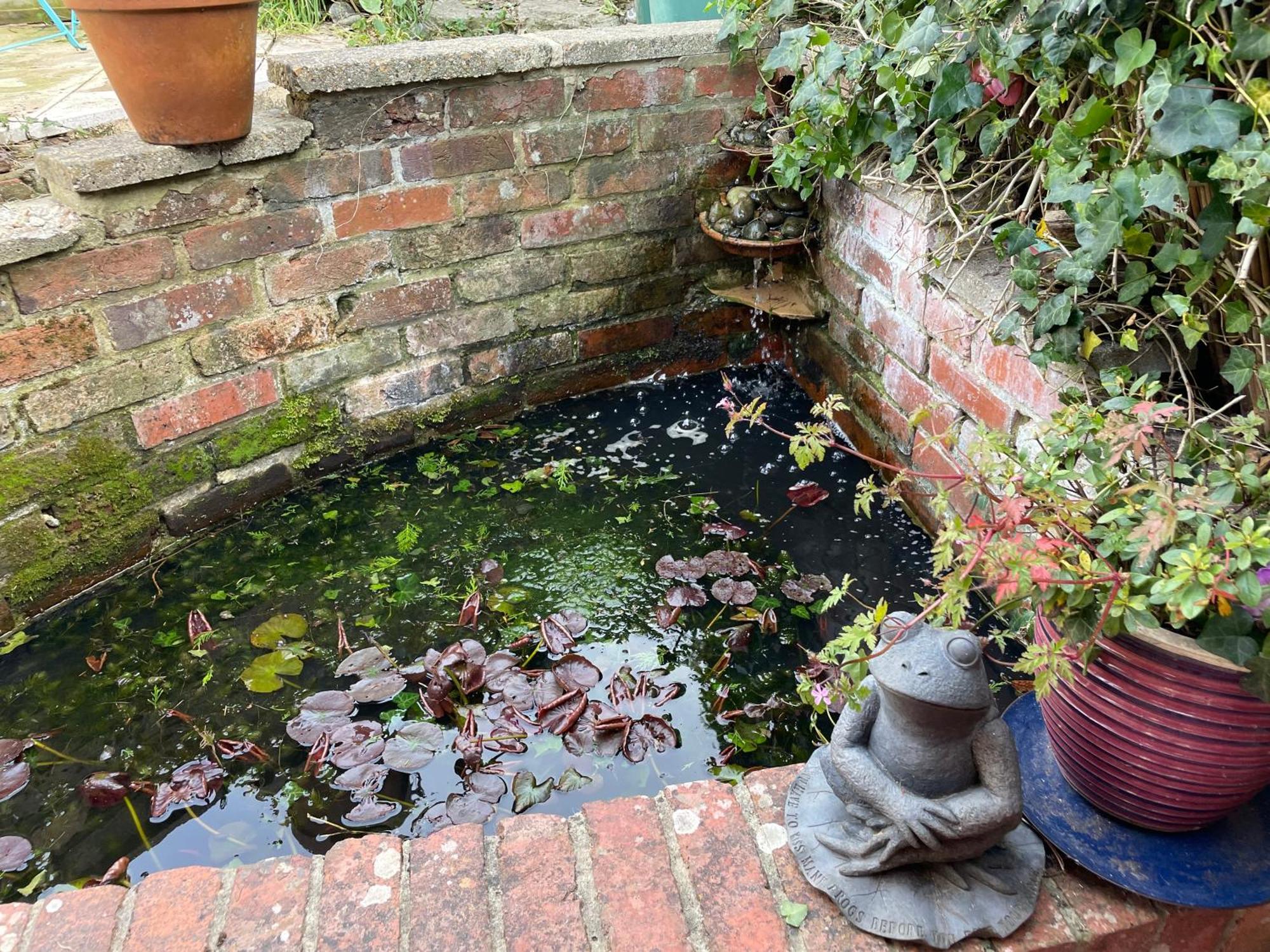 Cosy 2 Bedroom Victorian Cottage, Newport, Isle Of Wight ニューポート エクステリア 写真